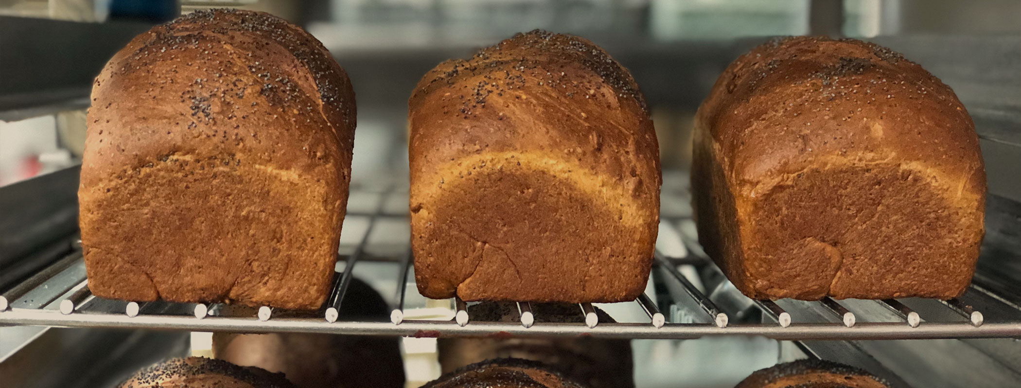 homemade bread bodega marquette homemade bread bodega marquette
