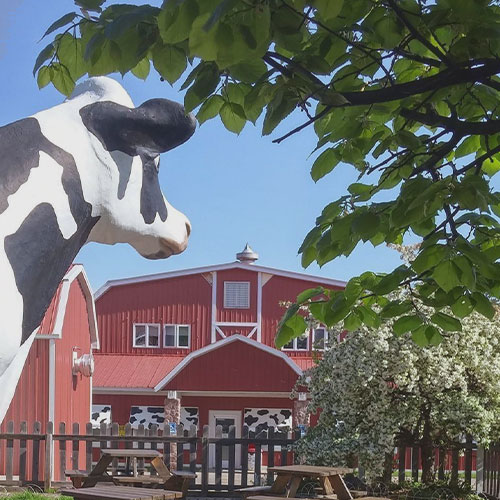 jilbert dairy milk marquette upper peninsula